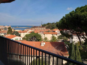 4VSE-LAM55 Appartement avec vue dégagée Collioure proche plage
